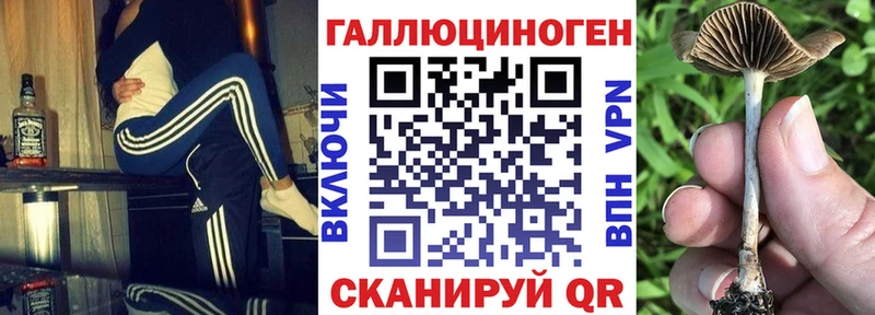 omg ССЫЛКА Павловск Галлюциногенные грибы мухоморы где купить наркоту